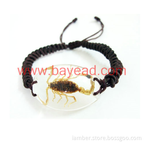 Supply Real Scorpion Inside Amber Bracelet Jewellery